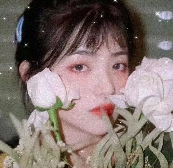 生命骑士